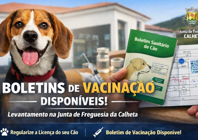 Boletins de Vacinação Canina Disponíveis para Levantamento